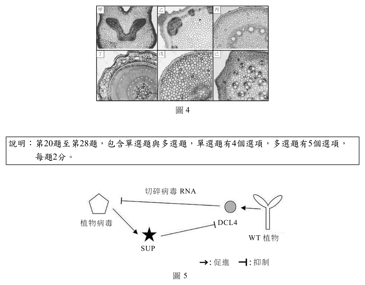 第 19 題附圖