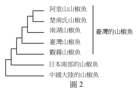 第 10 題附圖