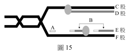 第 42 題附圖