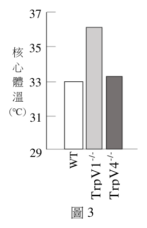 第 27 題附圖