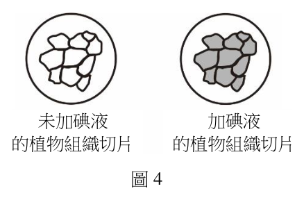 第 30 題附圖
