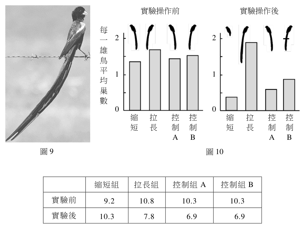 第 38 題附圖