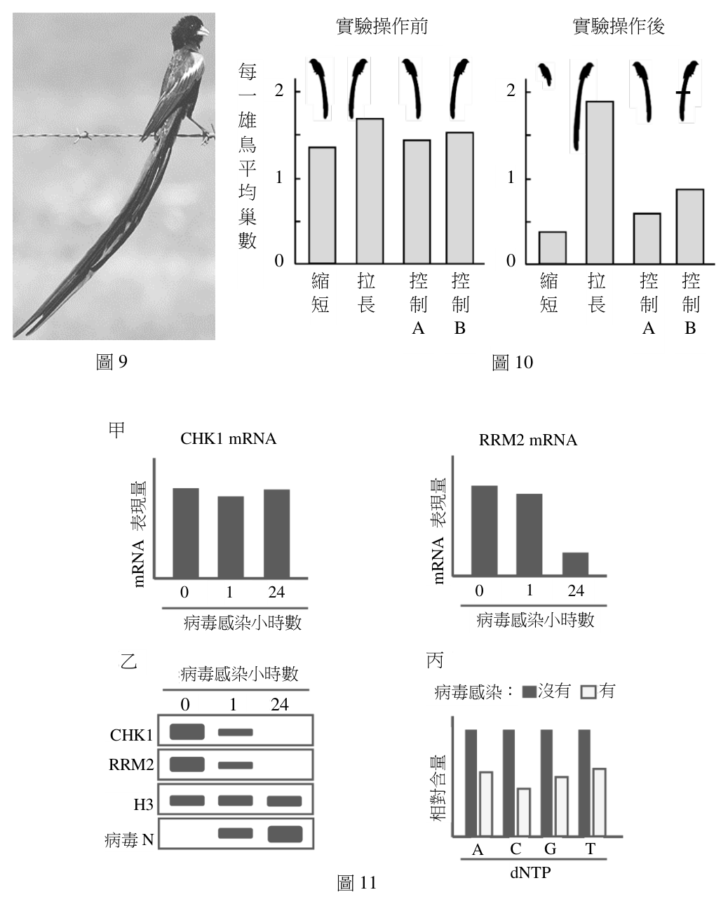 第 44 題附圖