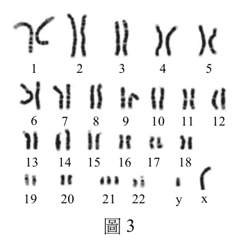 第 12 題附圖