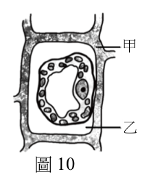 第 29 題附圖