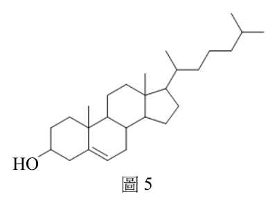 第 13 題附圖
