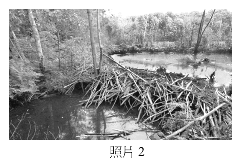 第 3 題附圖