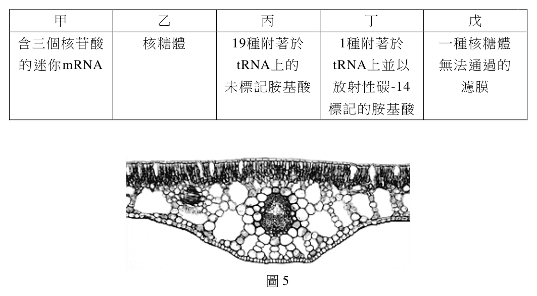 第 29 題附圖