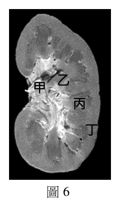 第 30 題附圖