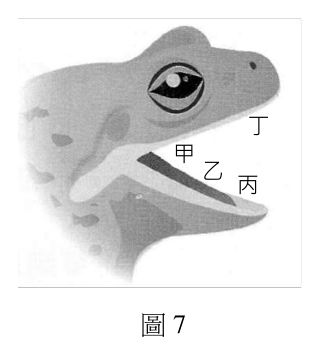 第 33 題附圖