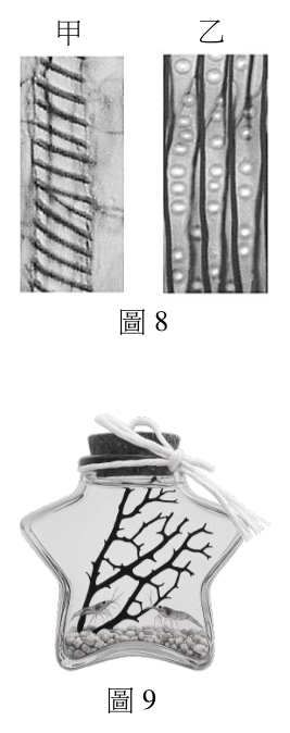 第 35 題附圖