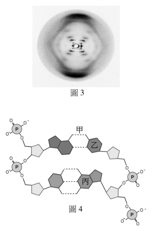 第 11 題附圖