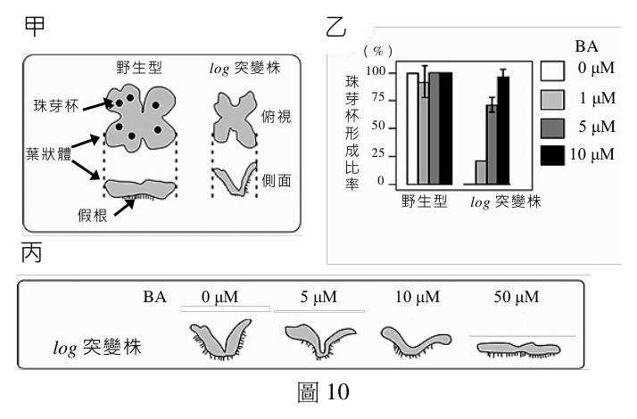 第 38 題附圖