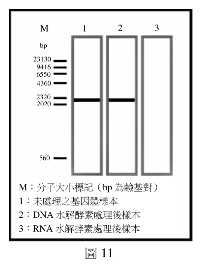 第 40 題附圖