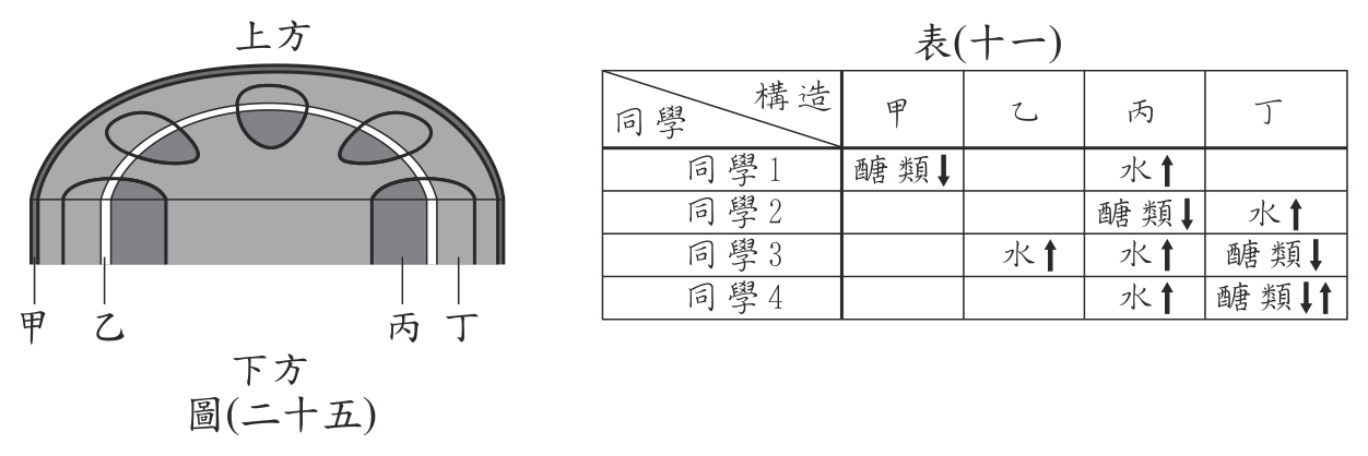 題組附圖