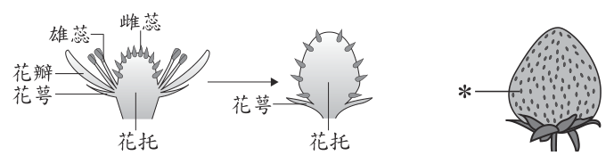 第 35 題附圖