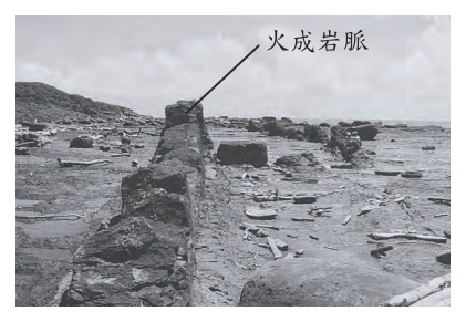 第 10 題附圖