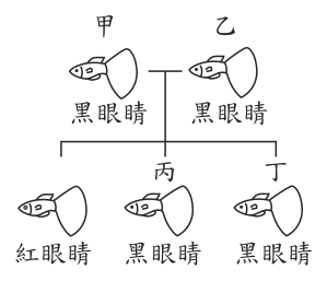 第 30 題附圖