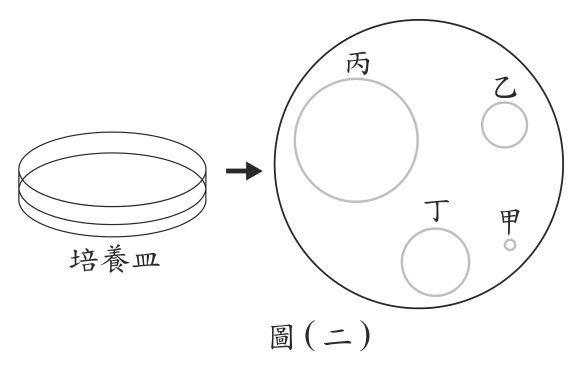 第 8 題附圖