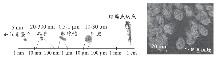 第 6 題附圖