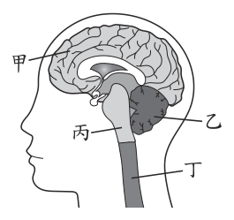 第 10 題附圖
