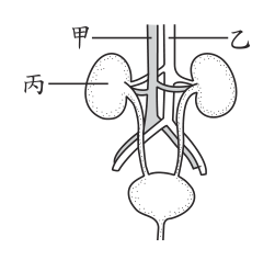 第 33 題附圖