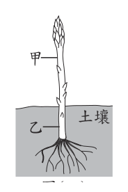 第 8 題附圖