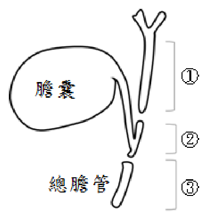 第 32 題附圖