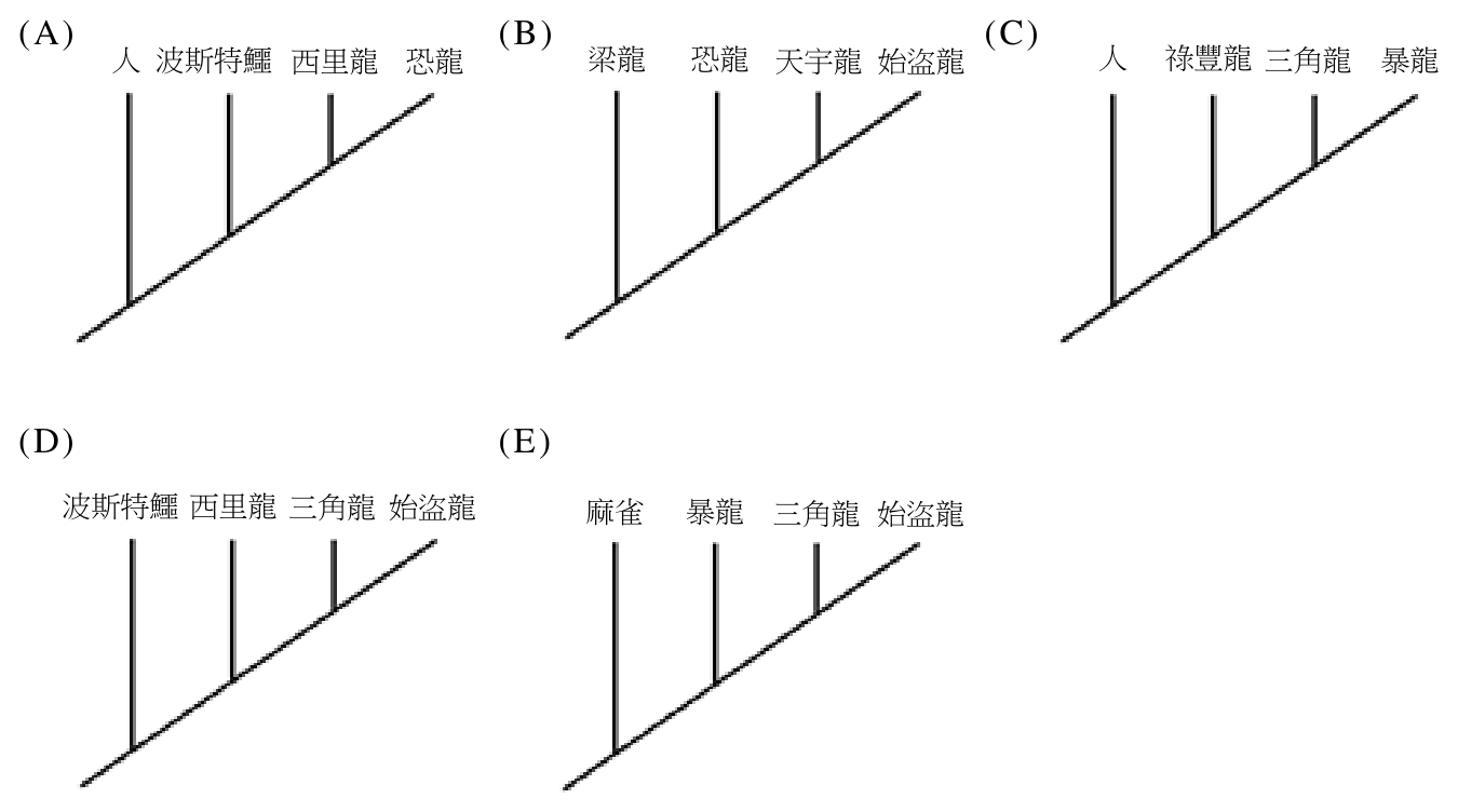 第 7 題附圖