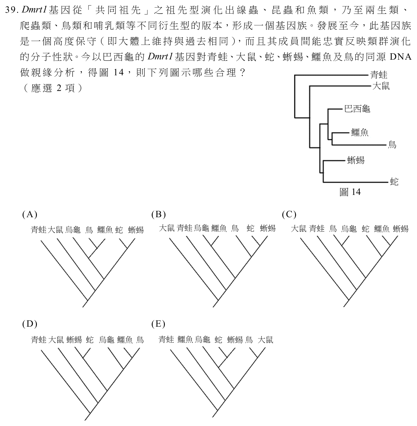 第 37 題附圖