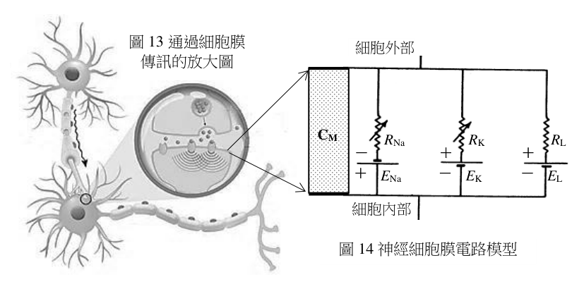第 47 題附圖