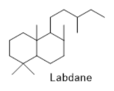 第 75 題附圖