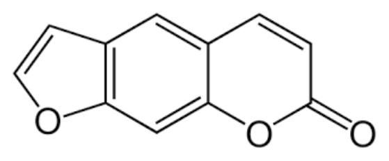 第 77 題附圖