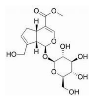 第 50 題附圖